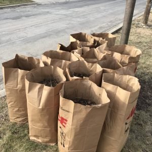 Cemento gris bolsa 42.5 kg